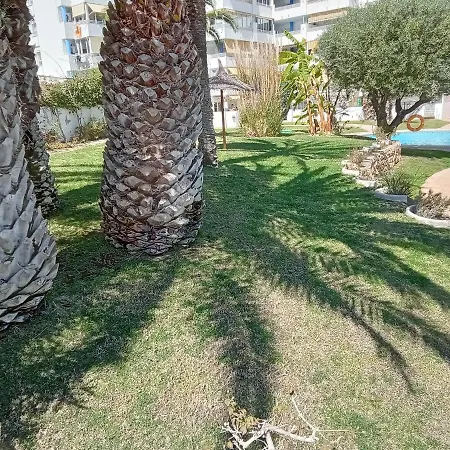 Apartment La Nina, La Playa Paraiso A 100 Mts. Villajoyosa